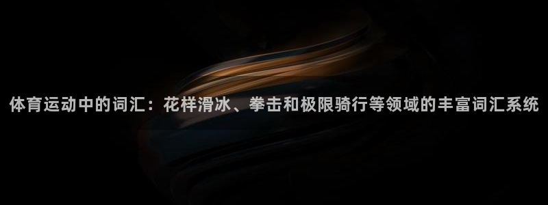 尊龙官方正版app集团E.ON:体育运动中的词汇:花样滑冰、