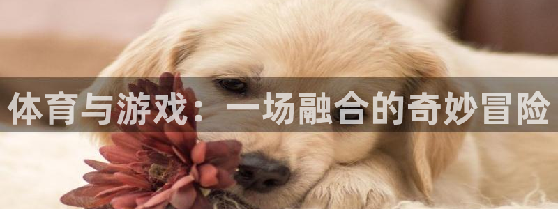 尊龙官网下载平台假的吗是真的吗:体育与游戏:一场融合的奇妙冒