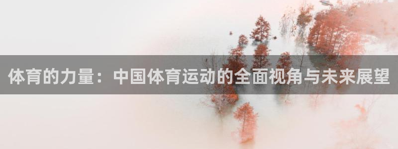 尊龙官网下载平台注册流程图:体育的力量:中国体育运动的全面视