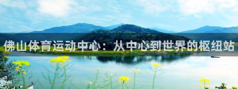 尊龙官网下载注册:佛山体育运动中心:从中心到世界的枢纽站