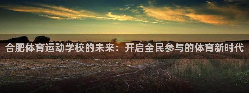 尊龙官方正版app新能源:合肥体育运动学校的未来:开启全民参